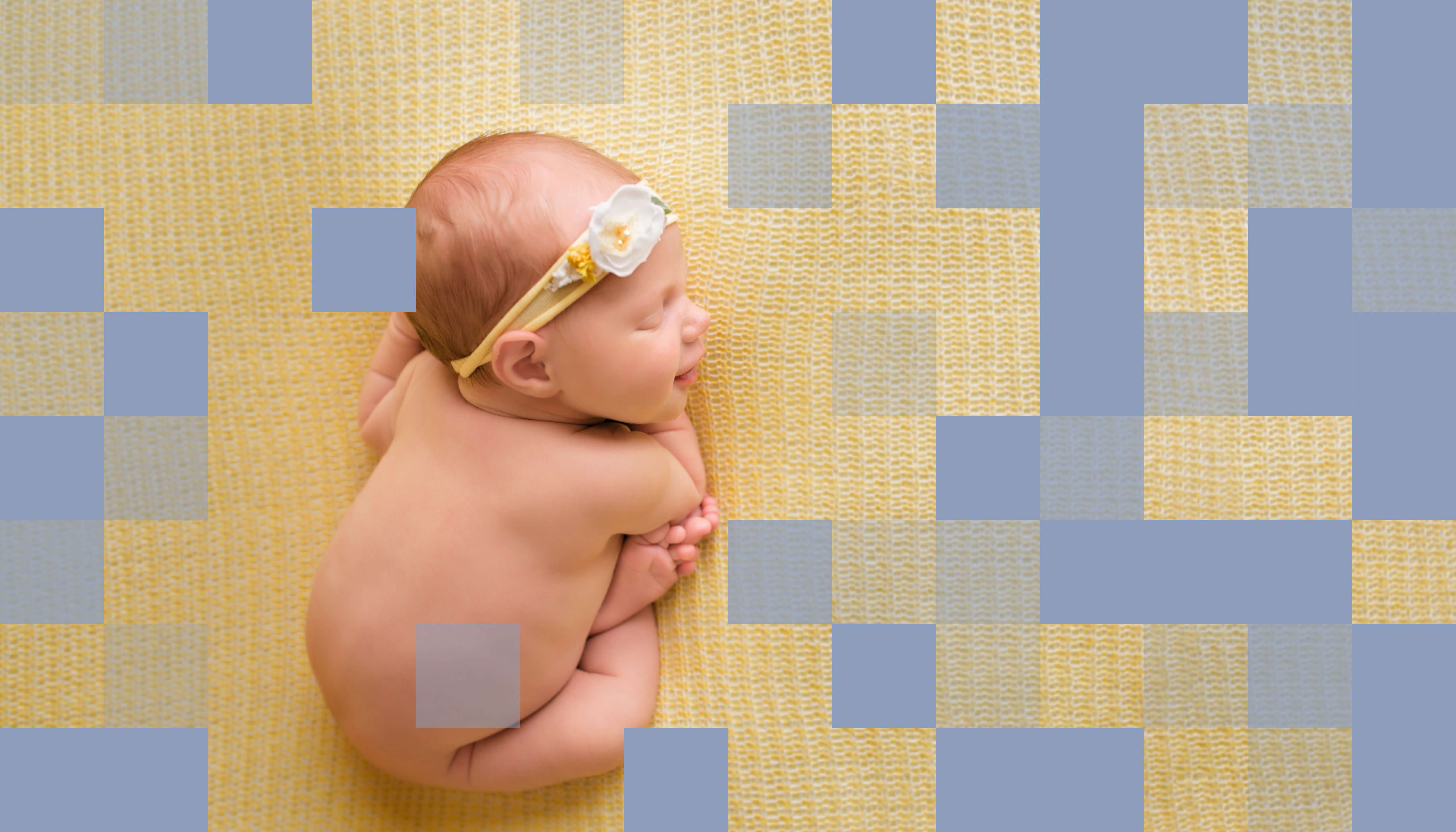 Pixels by Emily - Newborn, Maternity, and Family Portraits - Branding