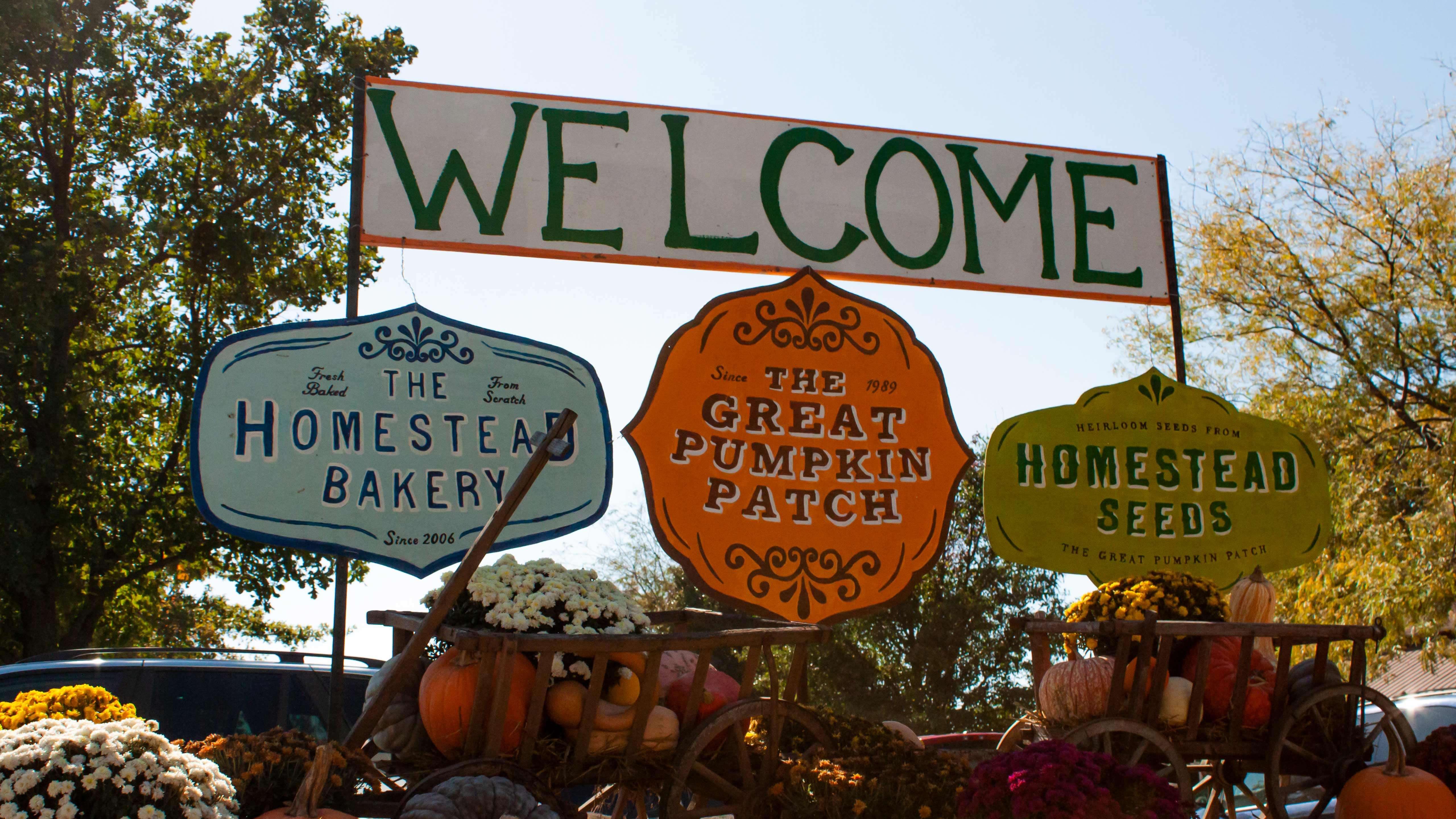 The Great Pumpkin Patch - Arthur, Illinois - Branding